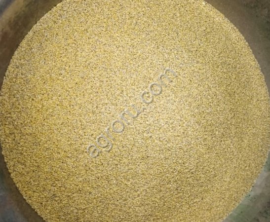 Ромашка лекарственная