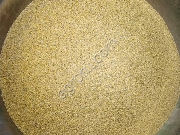 Ромашка лекарственная