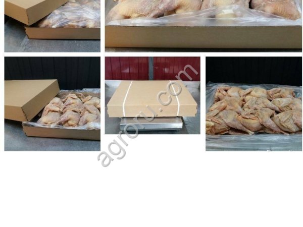 Мясо Курицы/Бройлера - HALAL. Frozen chicken meat