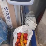 Списанные овощи фрукты и хлеб на корм животным