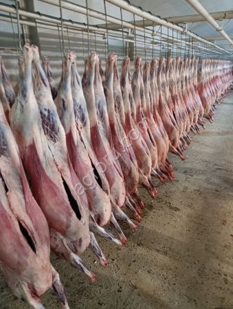 мясо баранина