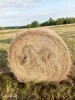 Сено луговое разнотравье