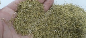 Ромашка аптечная семена