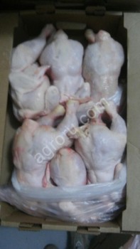 Мясо птицы, цыпленок-бройлер, ЦБ, 1 и 2 категория