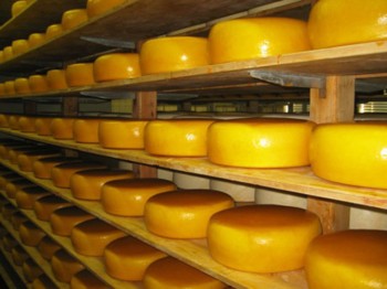 Молочные продукты подешевеют
