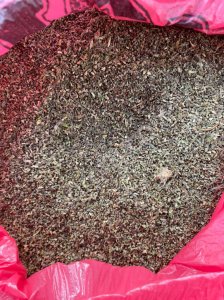 Пустырник семена