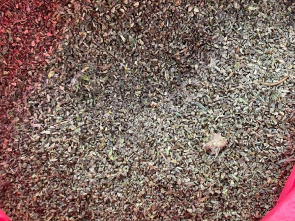 Пустырник семена