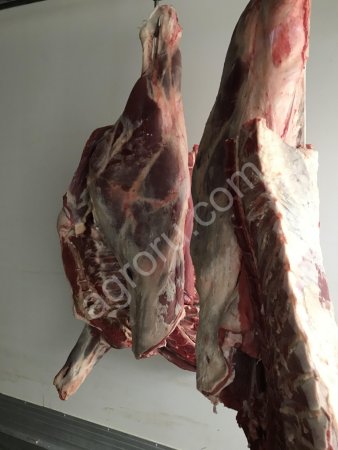 говядина на кости в четвертях