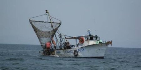 Варненские рыбаки собираются выйти на акцию протеста