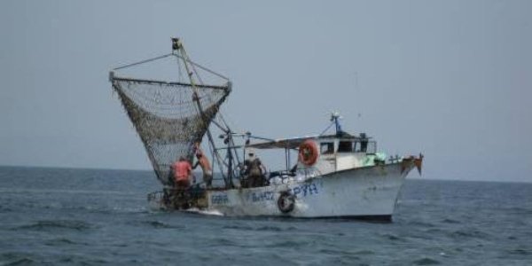 Варненские рыбаки собираются выйти на акцию протеста