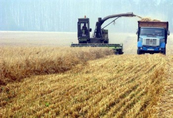 Минсельхоз: урожай зерна в России приблизится к рекорду 2014 года