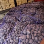 Картофель оптом 45+ от производителя