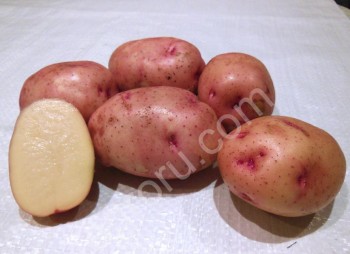 Картофель продовольственный (сорт Розара, Гала)