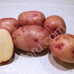 Картофель продовольственный (сорт Розара, Гала)