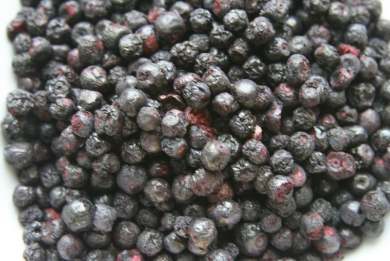 В Карелии открывается производство соков из сублимированных ягод
