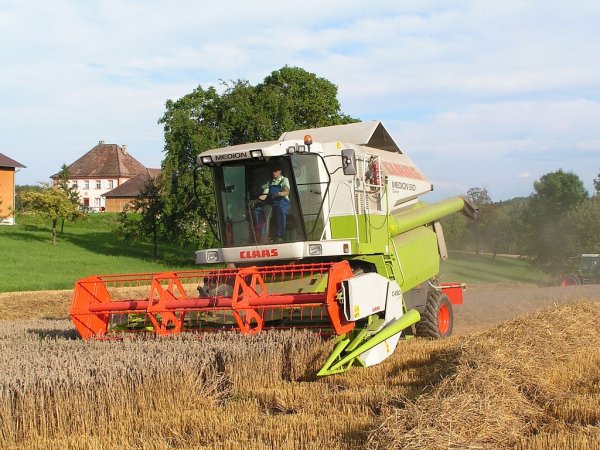 Украина: к концу года аграрии Крыма погасили ссуду по залоговым закупкам зерна на 9,2%