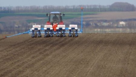 США: сев кукурузы идет в рекордном темпе