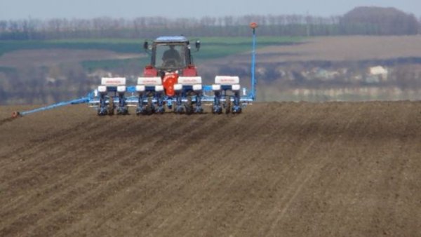 США: сев кукурузы идет в рекордном темпе