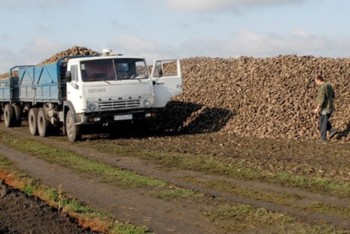 Восточный Казахстан: Оралманы получили неплохой урожай овощей