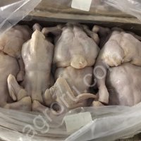 Тушка Курицы