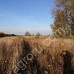 С\Х участка