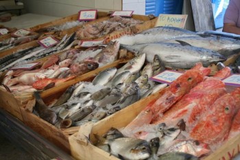 В Донецкой области разрешили вылов и продажу рыбы