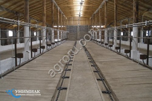 Стойловое оборудование для привязного содержания КРС от завода Унимилк