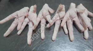 Куриные лапы категории А/А+ для экспорта в Китай, Корея, Вьетнам опт/крупный опт