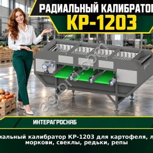 Радиальный калибратор КР-1203 для картофеля, лука, моркови, свеклы, редьки, репы