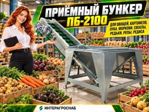 Приёмный бункер ПБ-2100 для овощей, картофеля, лука, моркови, свеклы, редьки, репы, редиса
