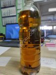 Масло льна Flax oil