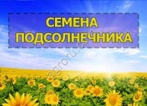 Гибриды семена подсолнечника НС Х 6008 (EXPRESS)