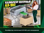 Калибратор ленточный КЛ-902 для мандаринов
