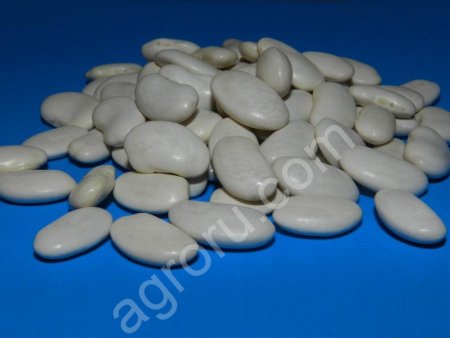 Белая фасоль из Кыргызстана