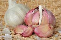 <strong>чеснок</strong> оптом от производителя