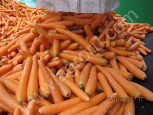 Carrots washed.