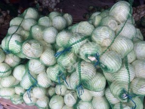 Капуста белокачанная сорт Анкома