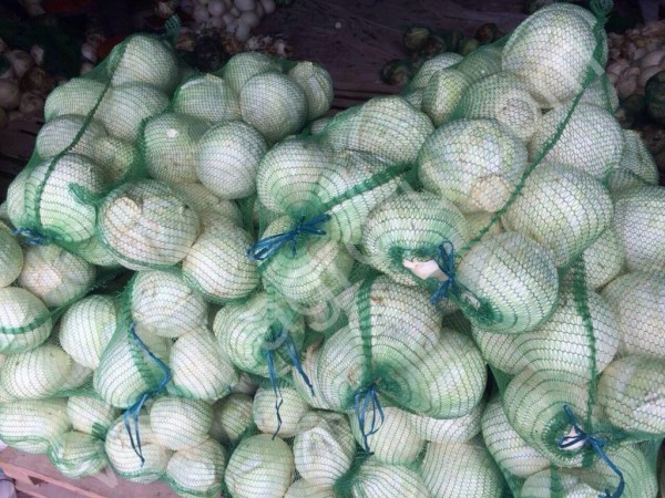 Капуста белокачанная сорт Анкома