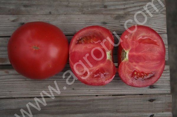 Семена фирмы KITANO SEEDS