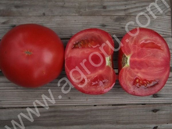 Семена фирмы KITANO SEEDS