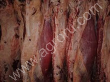 МЯСО ГОВЯДИНЫ 1 КАТ.