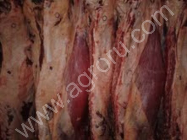 МЯСО ГОВЯДИНЫ 1 КАТ.