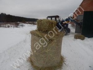 Сено урожая 2015г. крытого хранения, рулоны и тюки