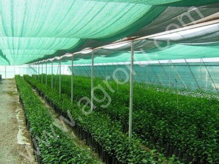 Затеняющая сетка