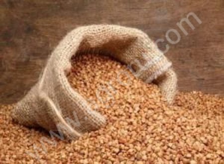 Гречка оптом