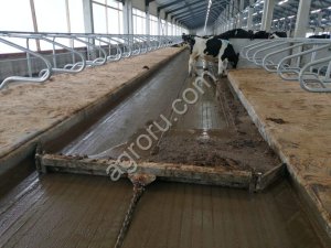 Скрепер для навозоудаления