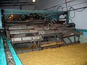 завод по производству солода (солодовню)