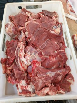 Конина котлетное мясо. ХАЛЯЛЬ