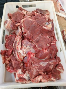 Конина котлетное мясо. ХАЛЯЛЬ