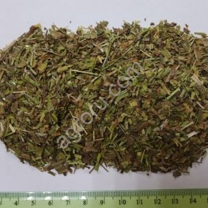 Подорожник, лист